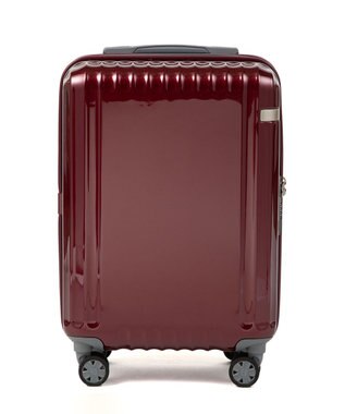 ACE BAGS & LUGGAGE ace. パリセイドZd 機内持ち込み Sサイズ 35～40L 06816 エース レッド