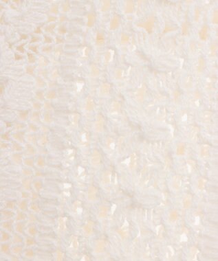 Green Parks Ｉ　レースシャツブルゾン Ivory