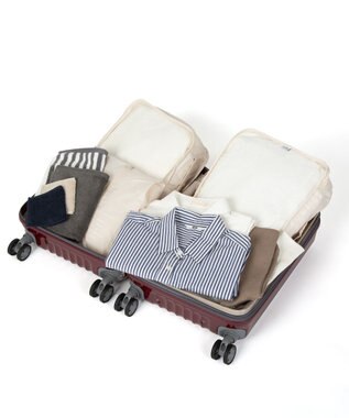 ACE BAGS & LUGGAGE ace. パリセイドZd 機内持ち込み Sサイズ 35～40L 06816 エース レッド