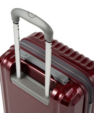 ACE BAGS & LUGGAGE ace. パリセイドZd 機内持ち込み Sサイズ 35～40L 06816 エース レッド