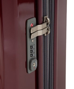 ACE BAGS & LUGGAGE ace. パリセイドZd 機内持ち込み Sサイズ 35～40L 06816 エース レッド