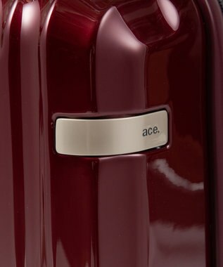 ACE BAGS & LUGGAGE ace. パリセイドZd 機内持ち込み Sサイズ 35～40L 06816 エース レッド