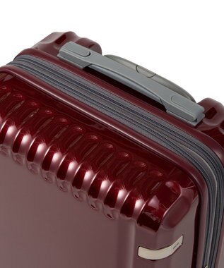 ACE BAGS & LUGGAGE ace. パリセイドZd 機内持ち込み Sサイズ 35～40L 06816 エース レッド