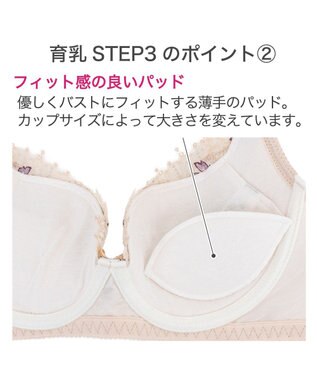 BRADELIS New York 【BRADELIS New York / 育乳STEP3 持ち上げる】ヴィオラステップ3ブラ23A1 美胸 谷間メイクする補正ブラ アイボリー