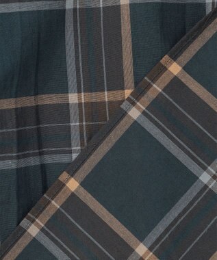 J.PRESS LADIES 【洗える】シアーマドラス バンドカラー ブラウス ダークグリーン系3