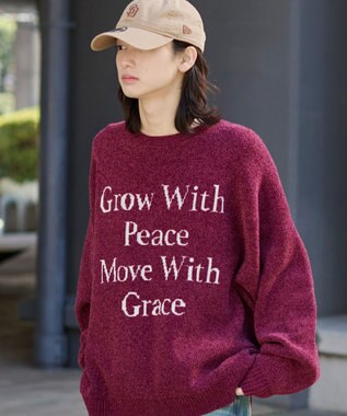 WEGO 【ユニセックス着用ITEM】ベロアモールグラフィックプルオーバー ワイン