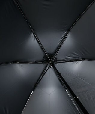 AURORA JILL STUART（ジル スチュアート）ミモザ刺しゅう晴雨兼用傘(折りたたみ傘) ブラック