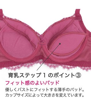 BRADELIS New York 【BRADELIS New York】ウェンディステップ1ブラ23A1 ふんわり包んでナチュラルなシルエットを作る補正ブラ フューシャピンク