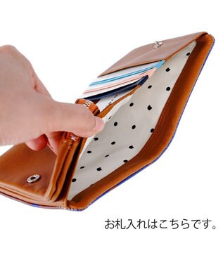 tsumori chisato CARRY コスタリカカエル 2つ折り財布 ミニ財布 【カラフル＆刺繍テクニック】 ブラウン