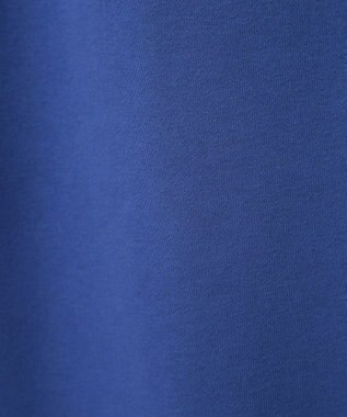 AMERICAN HOLIC 裏起毛スウェットタイトスカート Blue