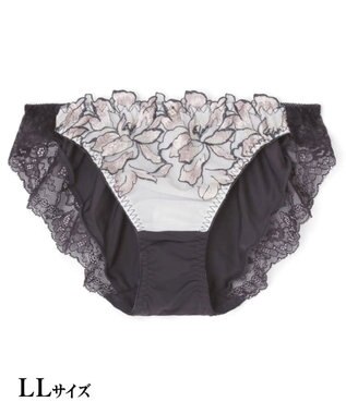 San-ai Resort（三愛水着楽園） エレガントコレクション【2411】ノーマルショーツLL 【northerly】