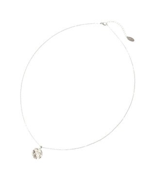 AMERICAN HOLIC テクスチャーコインネックレス Silver