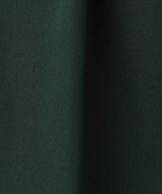 BEIGE， 【洗える】GAZANIA / コットンチノ2タックワイドパンツ Forest Green