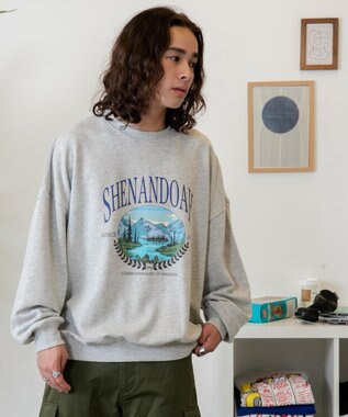 WEGO アソートグラフィックプルオーバー