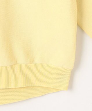 ANY スプリングカラーニットドルマンプルオーバー イエロー