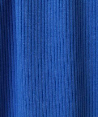 Green Parks Ｍｉｆｆｙ／カットリブＩラインスカート Blue