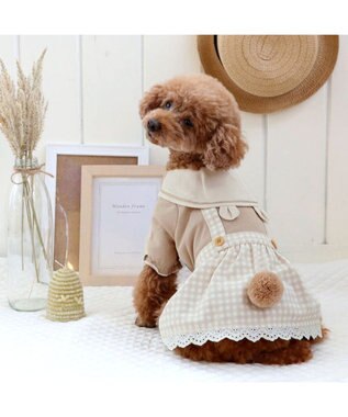 PET PARADISE ペットパラダイス くまちゃん ワンピース 小型犬 ベージュ