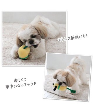 PET PARADISE ディズニー プルート ぽてトイ イエロー