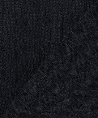 J.PRESS LADIES  Vis/Peスパーク クルーネック プルオーバー ネイビー系