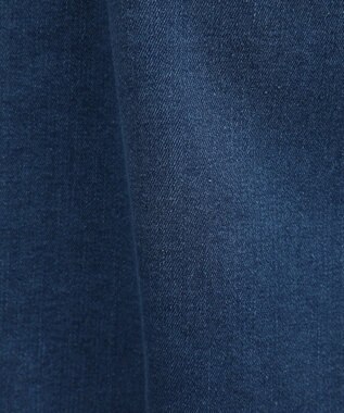 CRAFT STANDARD BOUTIQUE 裏起毛デニムＡラインスカート Blue