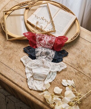 San-ai Resort（三愛水着楽園） エレガントコレクション【2409】ノーマルショーツ 【northerly】