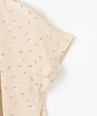 自由区 L 【洗える】ブラッシュドシャドープリント ブラウス シャンパンベージュ系