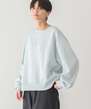 AMERICAN HOLIC ゼブラ柄ジャガードカットプルオーバー Light Blue