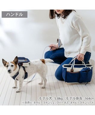 PET PARADISE ペットパラダイス２ｗａｙ お散歩バッグ 《ネイビー》 ネイビー