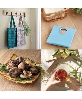 antina gift studio ベストコレクション ＜Thyme-(タイム)＞ -