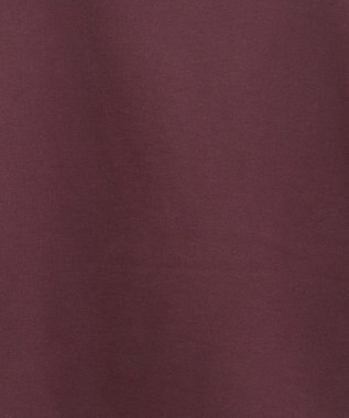 Green Parks 裏起毛フロッキーロゴプルオーバー Dark Red