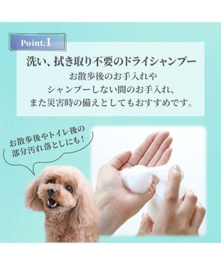 PET PARADISE ペットパラダイス ドライ泡シャンプー300ｍＬ -