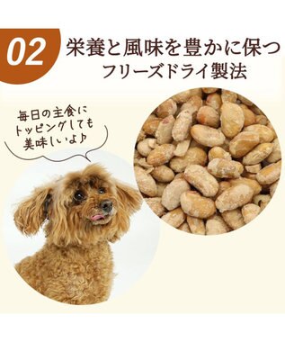PET PARADISE フリーズドライ 納豆 40g 国産 -