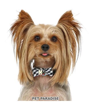 PET PARADISE リサとガスパール おしゃれ 首輪 【ＳＳ】 ギンガムチェック 反射