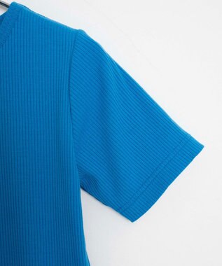 WEGO 【洗える/SML】コンパクトリブT ブルー