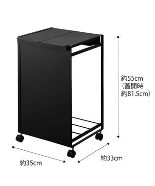 tower 蓋付き目隠し分別ダストワゴン タワー 2分別 ブラック ブラック