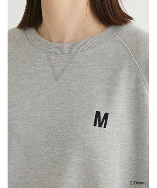 Green Parks Ｄｉｓｎｅｙ／裏毛袖プリントスウェットII Gray Mixture