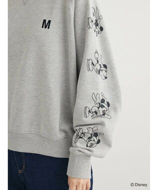 Green Parks Ｄｉｓｎｅｙ／裏毛袖プリントスウェットII Gray Mixture