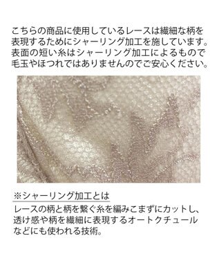 BRADELIS New York 【BRADELIS New York / コンパクト補整ブラ】サポートバックラインブラ22A1 グレージュ