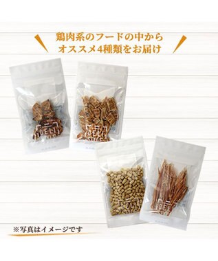 PET PARADISE ペットパラダイス 犬 おやつ デリスタイル4種類 鶏肉系セットB -