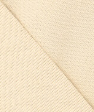 J.PRESS MEN 【WEB・一部店舗限定】フロントプリントスウェット ベージュ系