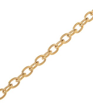 AMERICAN HOLIC 【ステンレス】コイントップチェーンネックレス Gold