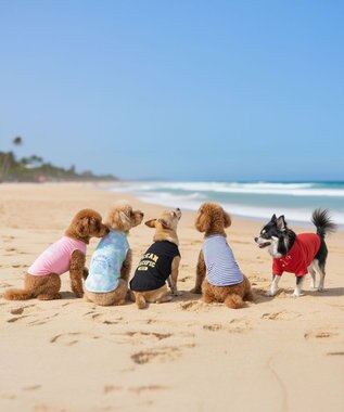 OP／FILA 【Ocean Pacific】アメカジドッグウェア ペットウェア