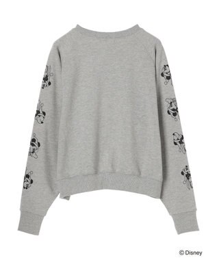 Green Parks Ｄｉｓｎｅｙ／裏毛袖プリントスウェットII Gray Mixture