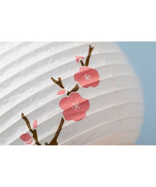 ちょうちん堂 【きもち】AKOGARE 梅 ちょうちん ライト ホワイト