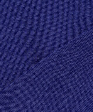 ICB 【洗える】 エクストラファインメリノ クルーネックプルオーバー ロイヤルブルー系