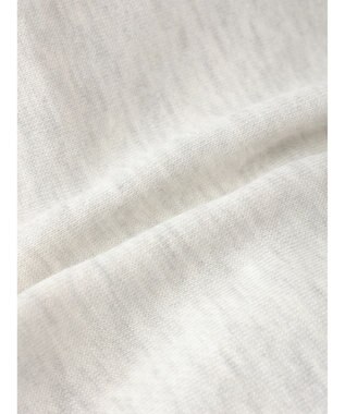 Green Parks 裏起毛裏毛パーカー Gray Mixture