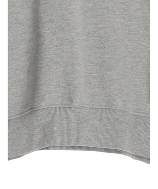 Green Parks Ｄｉｓｎｅｙ／裏毛袖プリントスウェットII Gray Mixture