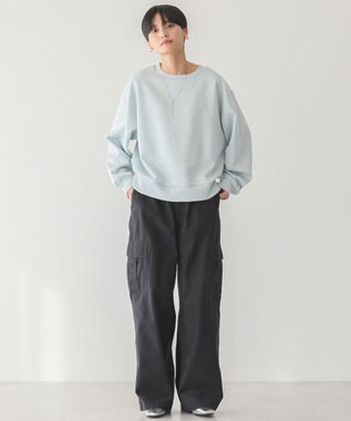 AMERICAN HOLIC ゼブラ柄ジャガードカットプルオーバー Light Blue