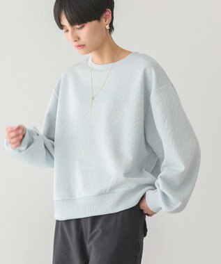 AMERICAN HOLIC ゼブラ柄ジャガードカットプルオーバー Light Blue