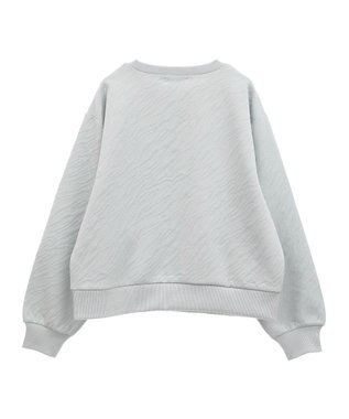 AMERICAN HOLIC ゼブラ柄ジャガードカットプルオーバー Gray